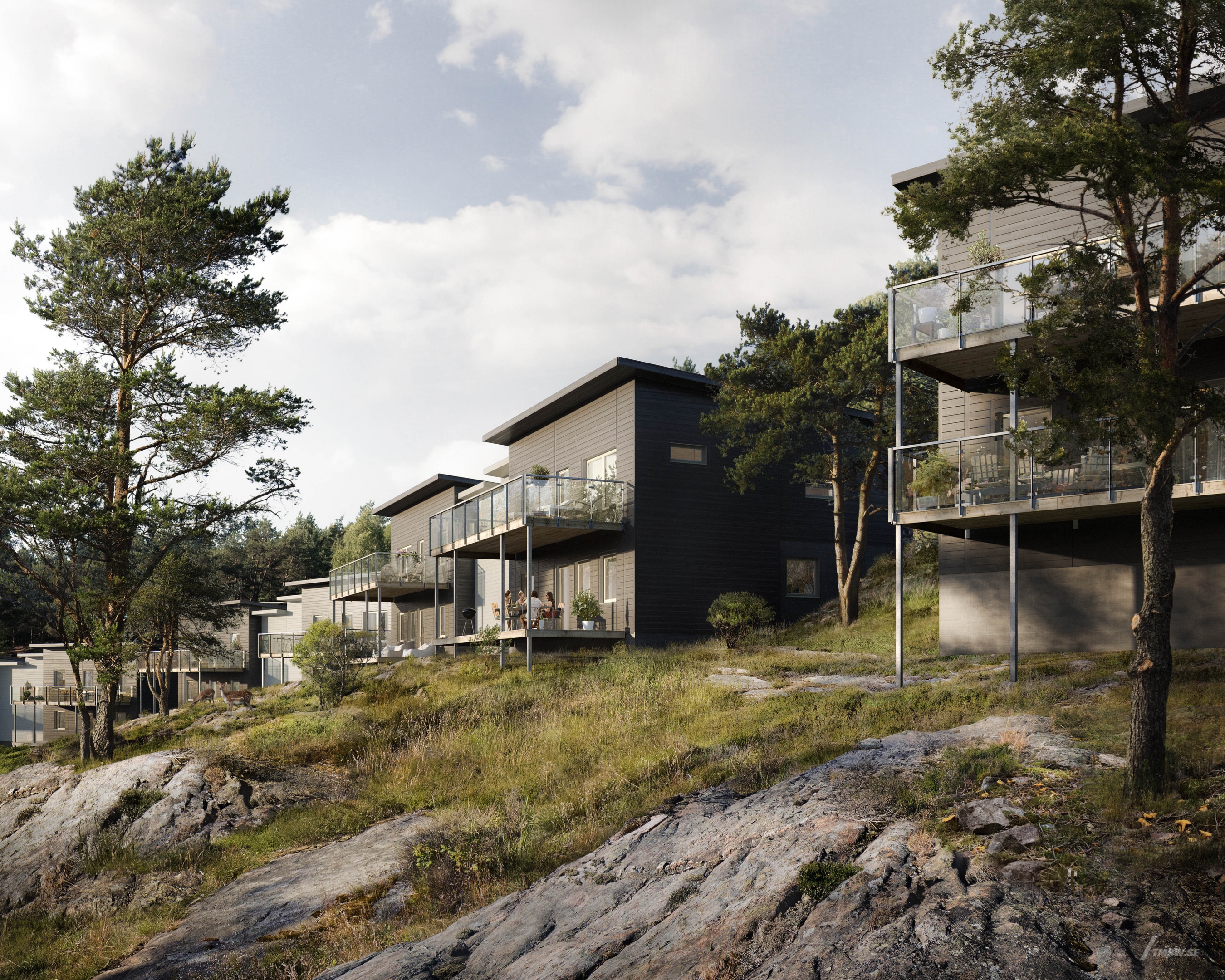 Architectural visualization of Stensjövillan for Riksbyggen, residential buildings in nature
