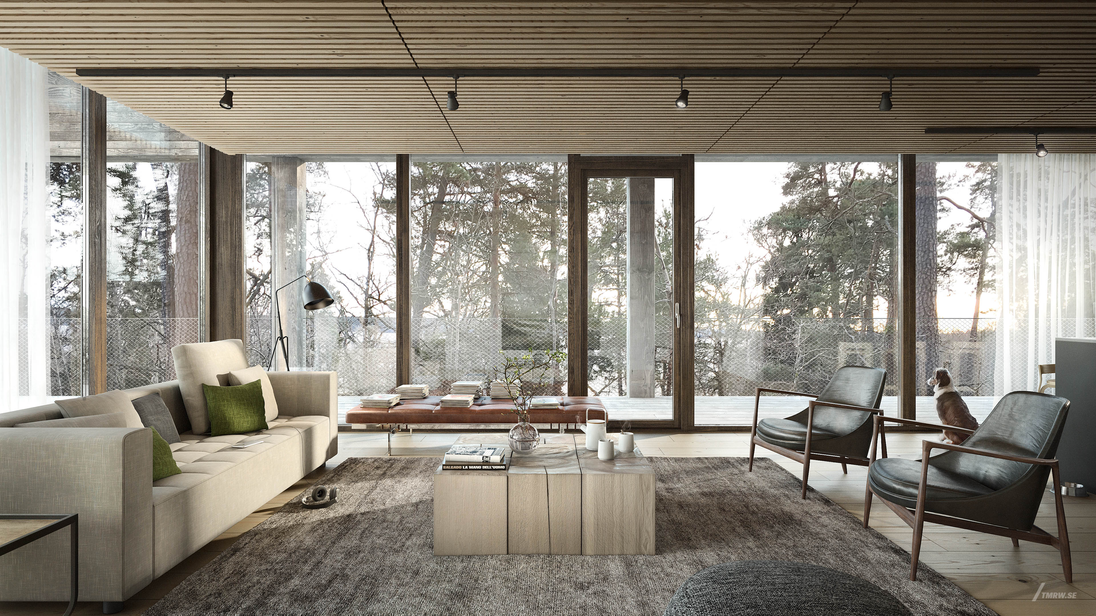 Architectural visualization of Traryd for Skarp, interior of living room with lots of windows, dog looking out