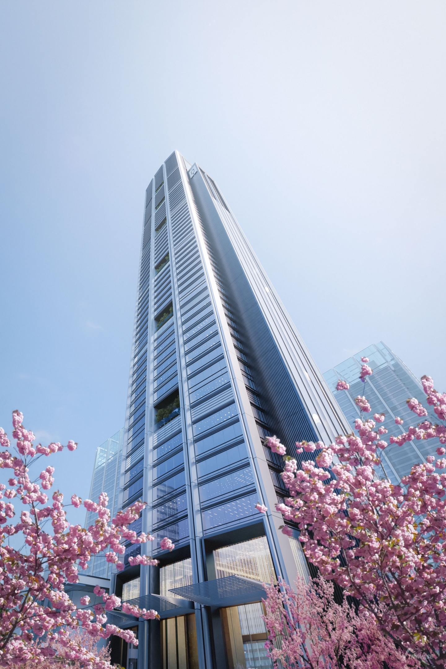 Architectural visualization of Hengli for Foster + Partners. An image of the exterior of a office building with glass facade from frog's perspective with cherry trees in front of in daylight.